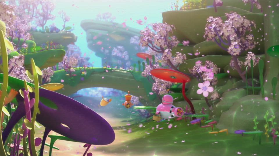 Coral In Full Bloom.