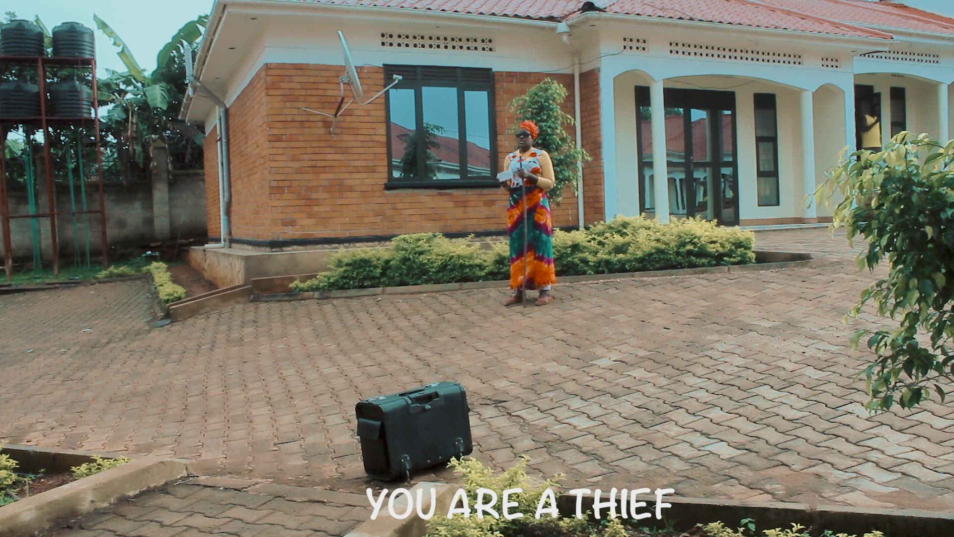 Thief