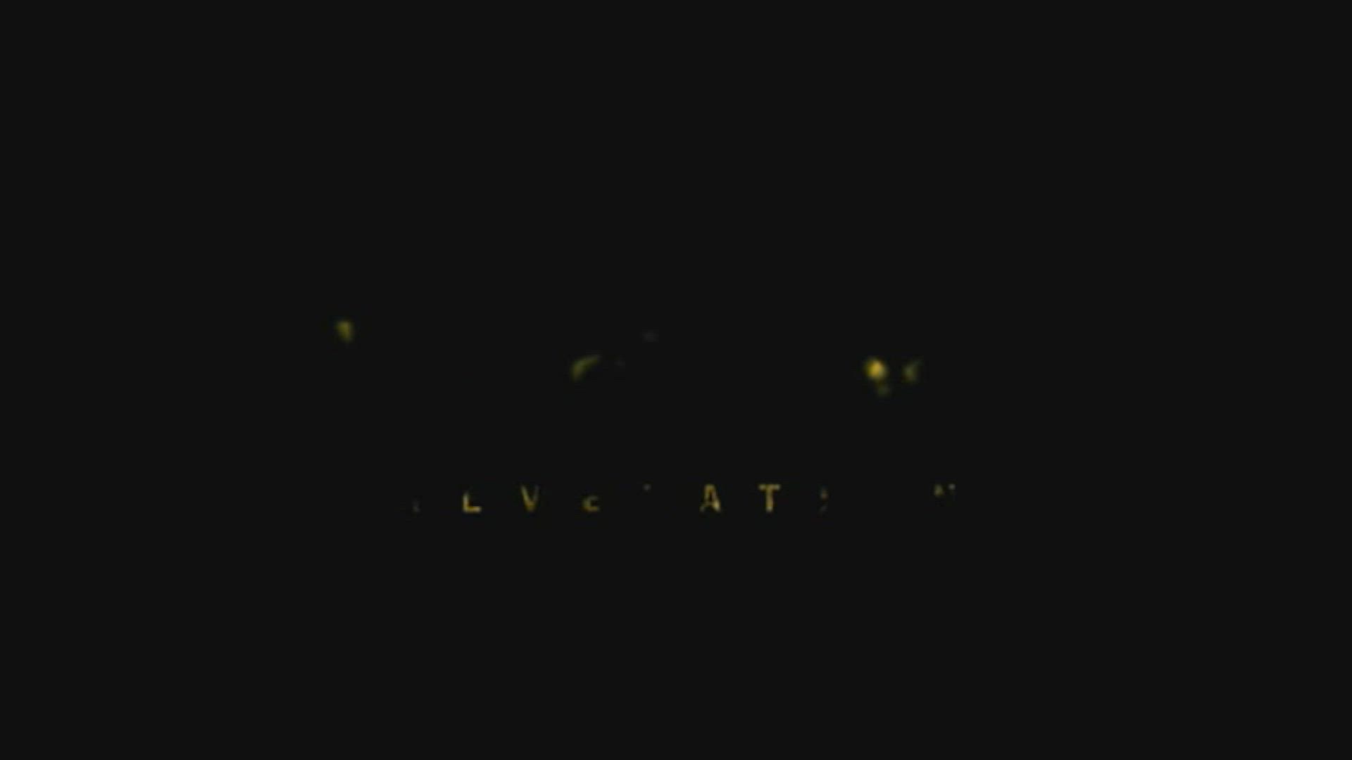 The Last Vision