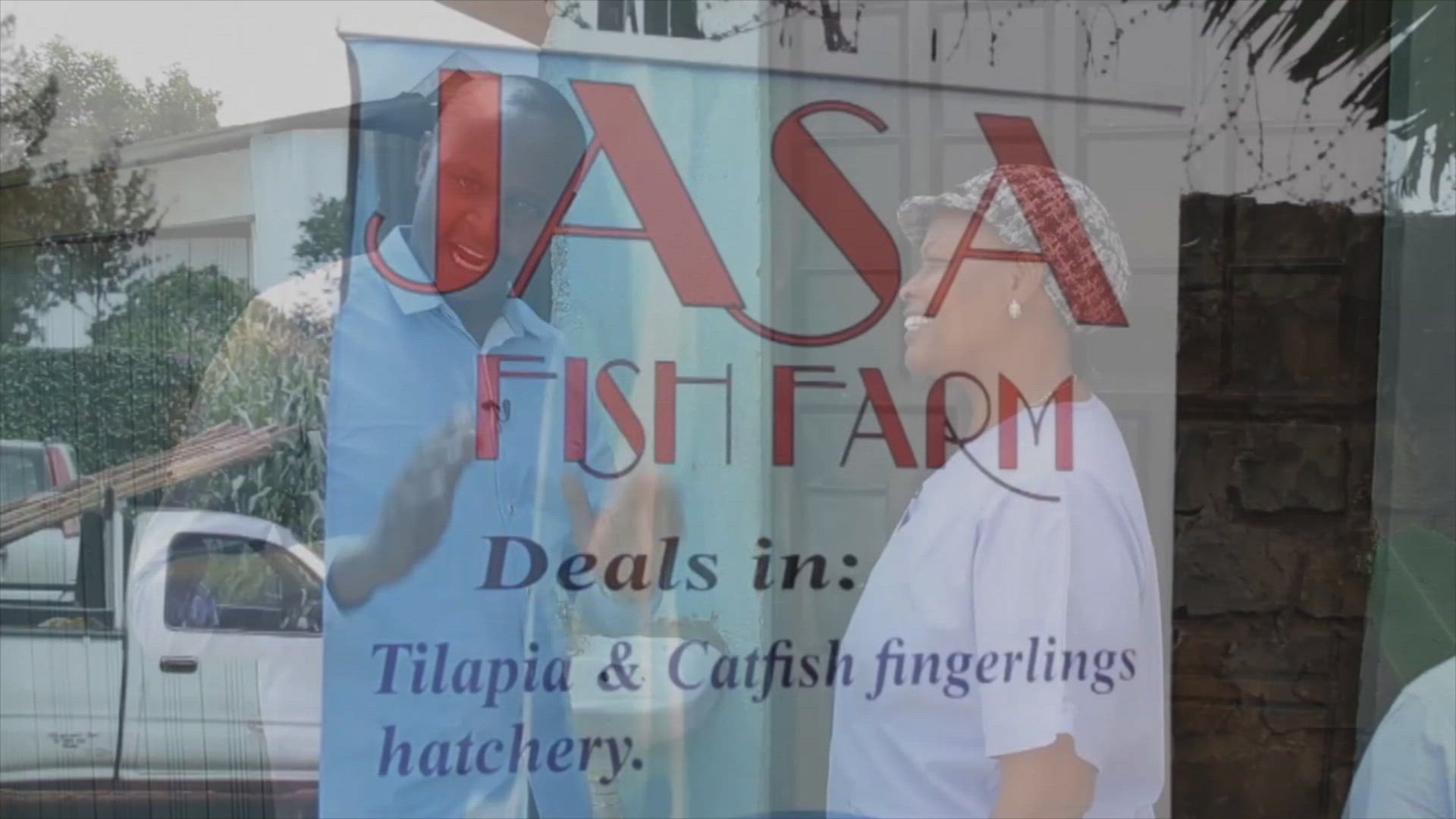Fish Breeding Part 1
